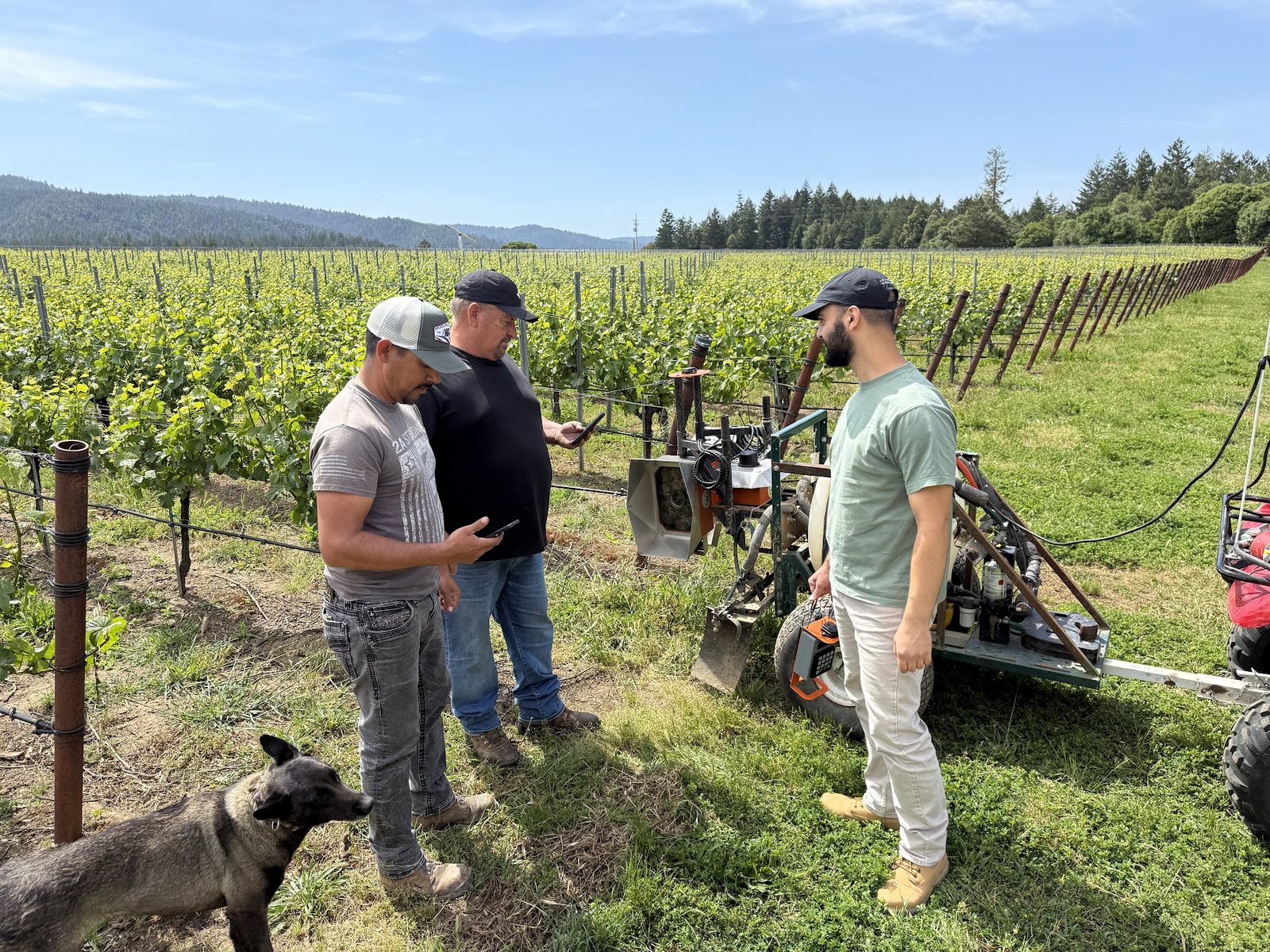 Three people talking beside a scanner-fitted rig in a summer vineyard, a dog at their feet