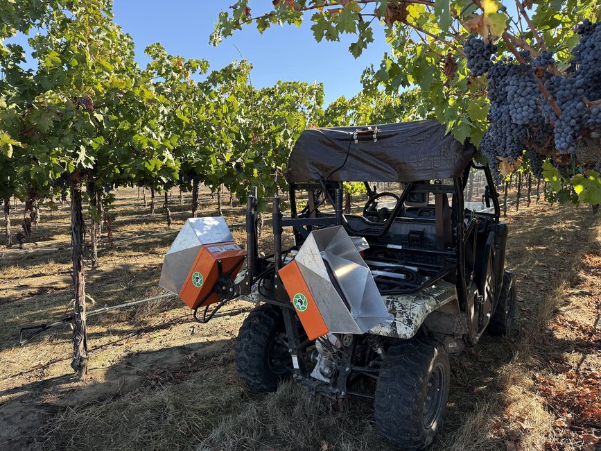 A camouflage Honda Pioneer buggy with Cropsy scanner units parked among vines heavy with ripe grapes
