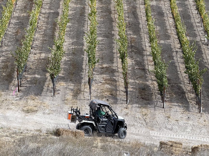 A scanner-fitted Honda Pioneer buggy on a headland track beside long rows of trellised vines